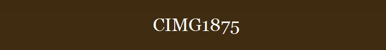 CIMG1875