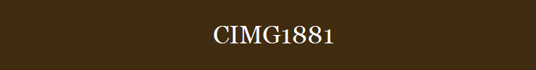 CIMG1881