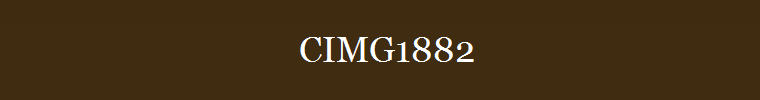 CIMG1882