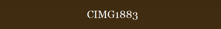 CIMG1883