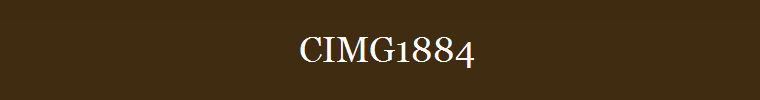 CIMG1884