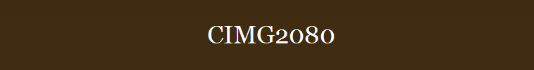 CIMG2080