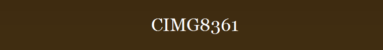 CIMG8361