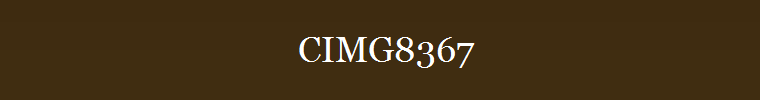 CIMG8367