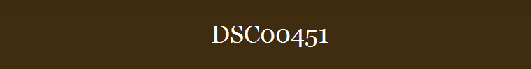 DSC00451