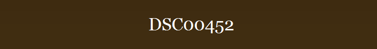 DSC00452