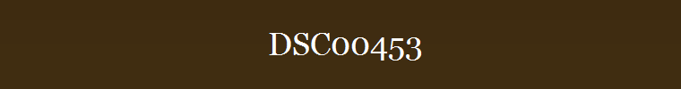 DSC00453