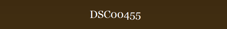DSC00455