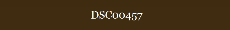 DSC00457