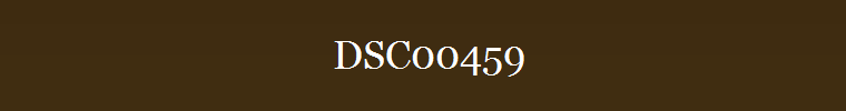 DSC00459
