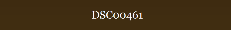 DSC00461