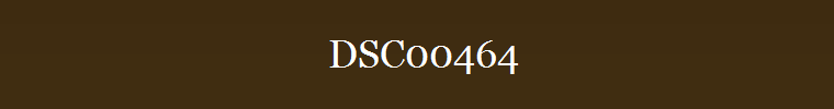 DSC00464