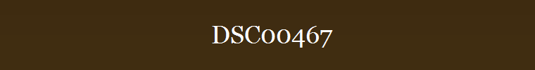 DSC00467