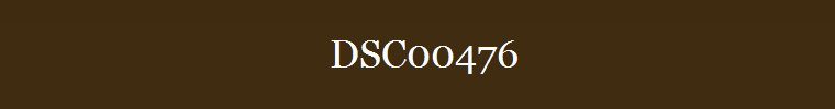 DSC00476