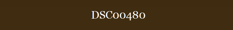 DSC00480