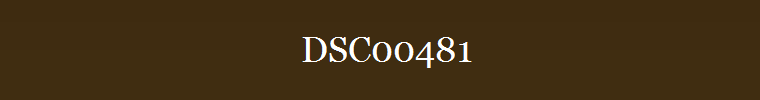 DSC00481