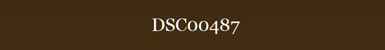 DSC00487