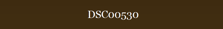 DSC00530