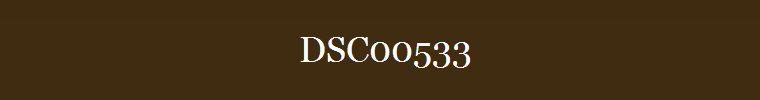 DSC00533