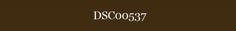 DSC00537