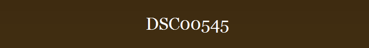 DSC00545
