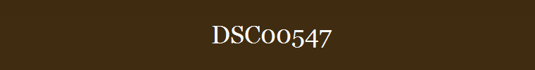 DSC00547