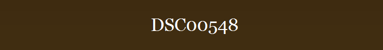 DSC00548