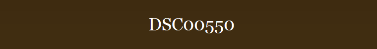 DSC00550