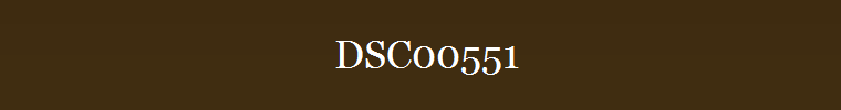 DSC00551