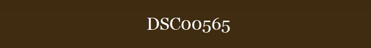 DSC00565
