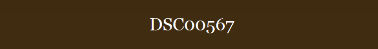 DSC00567