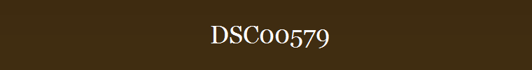 DSC00579
