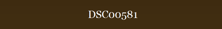 DSC00581
