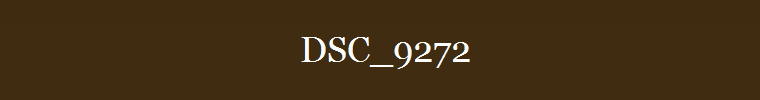 DSC_9272