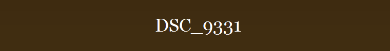 DSC_9331