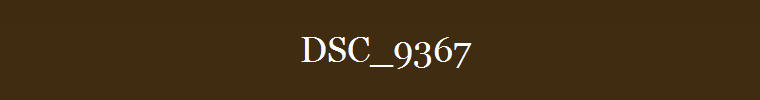 DSC_9367