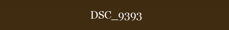 DSC_9393