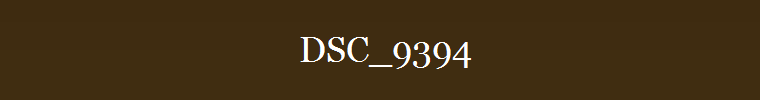 DSC_9394