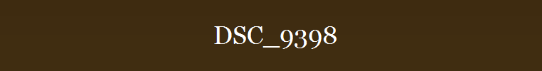 DSC_9398