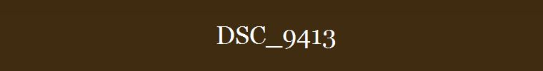 DSC_9413