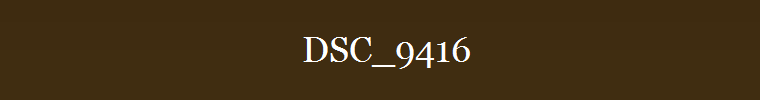 DSC_9416