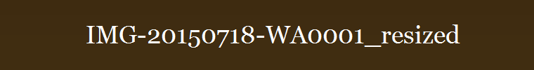 IMG-20150718-WA0001_resized