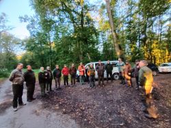Begrüßung Im Wald Am 2