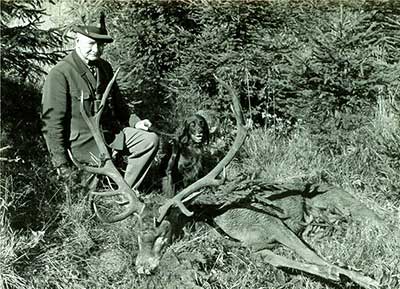 Ofm. Störmer