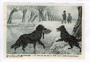 Vorfahren DL